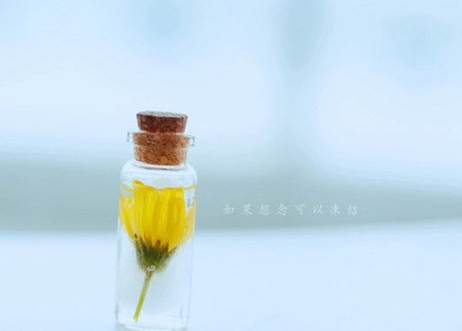 晚安心语的经典语句带图片