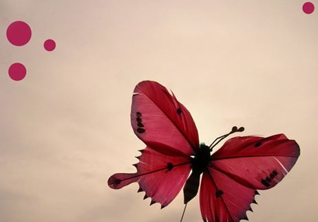 席慕蓉《七里香》经典句子摘抄