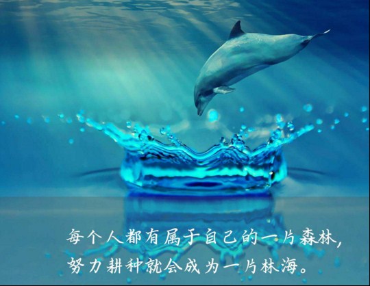 激励正能量的晚安心语配图10句