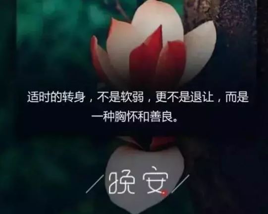 2020晚安励志一句话说说配图，适合睡觉前发的晚安温馨正能量句子