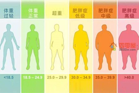 bmi是什么意思？bmi计算公式