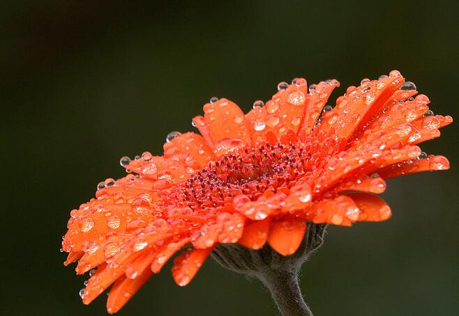 终于下雨的幽默说说句子