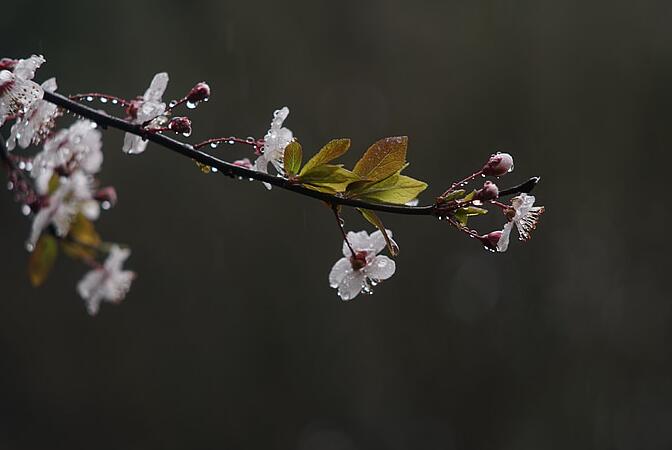 终于下雨的幽默说说句子