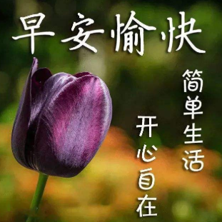 朋友圈过万赞的早安说说
