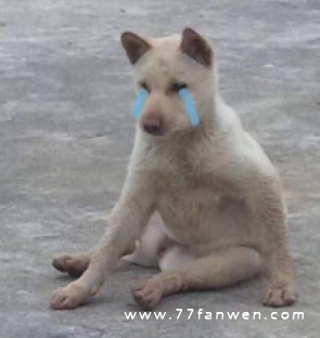 关于九月份的伤感心情朋友圈说说