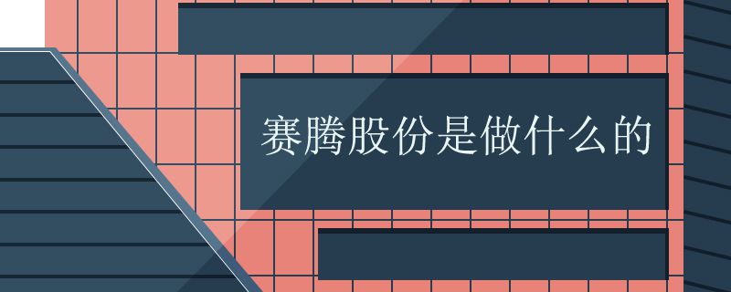 赛腾股份是做什么的