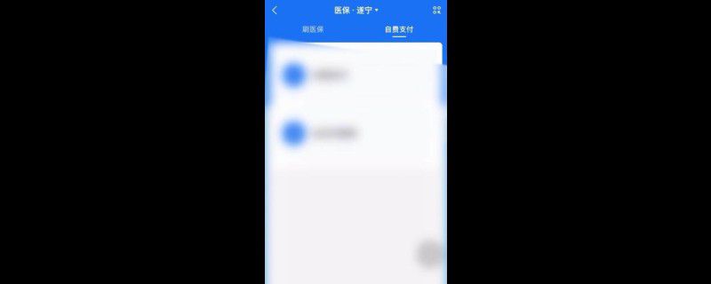 支付宝怎么缴费农村医保