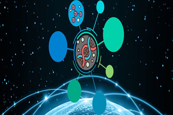 rcep指的是什么 带你了解一下