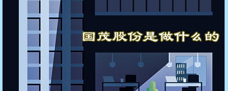 国茂股份是做什么的