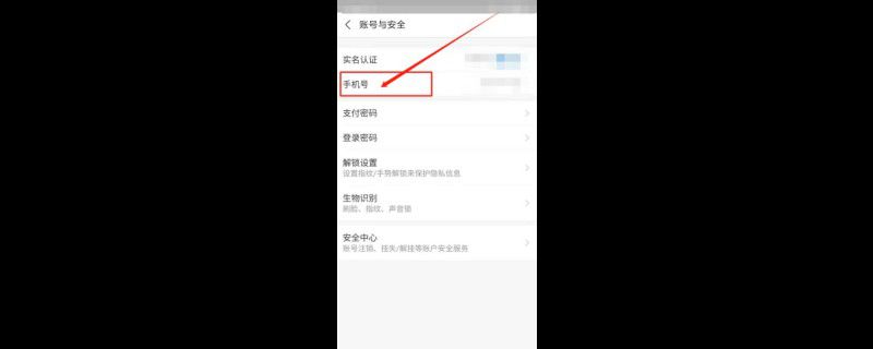 支付宝更换手机号邮箱怎么填