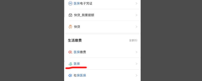 建行手机上缴医保流程