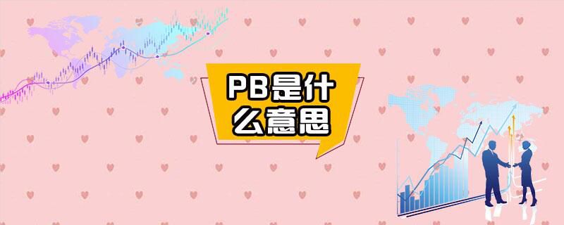 PB是什么意思