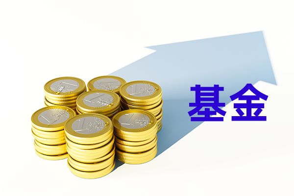 基金净值和估值差别大 可能这些原因导致
