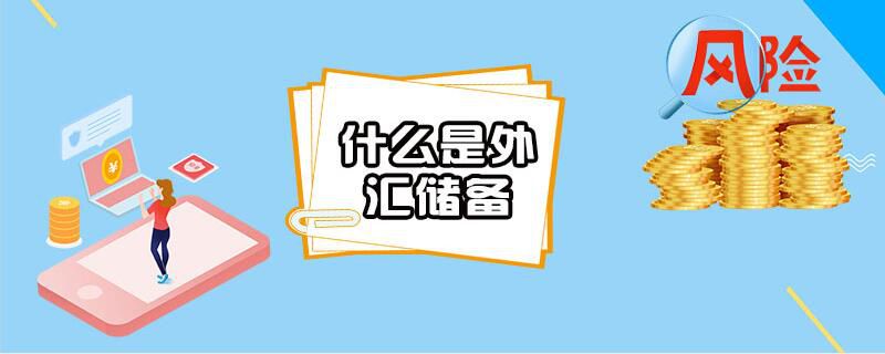 什么是外汇储备