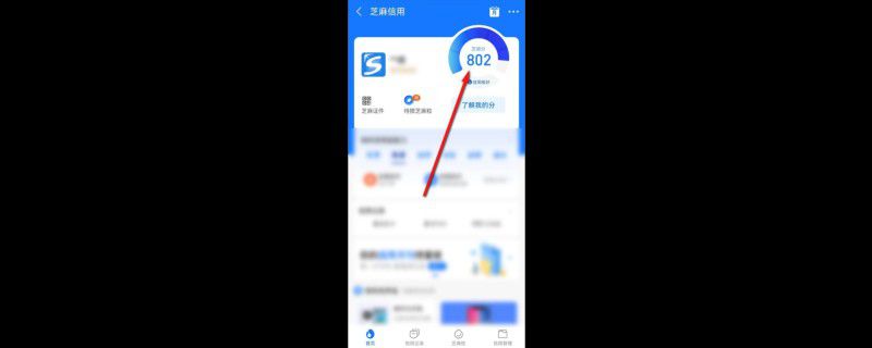 支付宝怎么看历史最高芝麻分