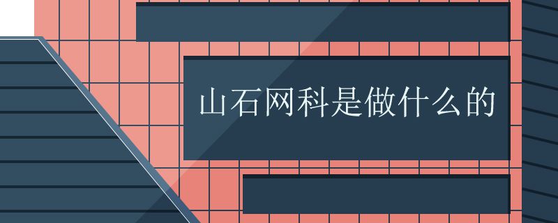 山石网科是做什么的
