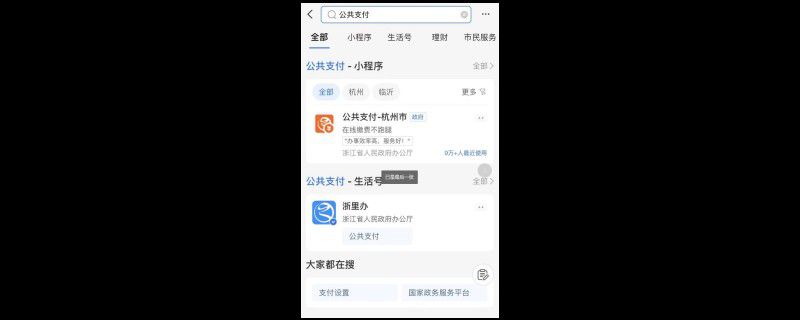 支付宝公共支付在哪里