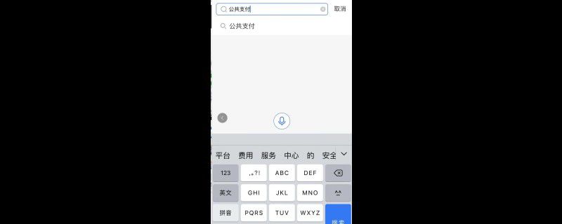 支付宝公共支付在哪里