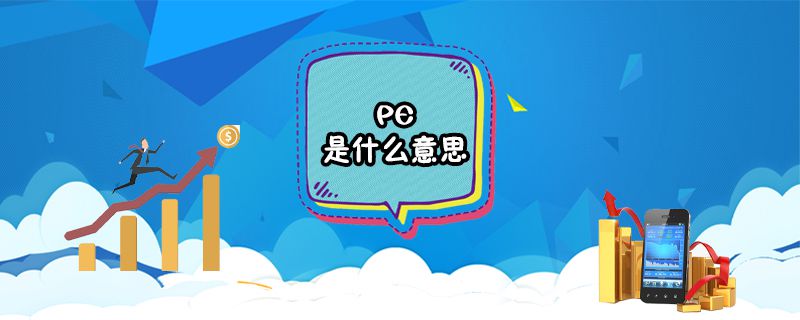 PE是什么意思