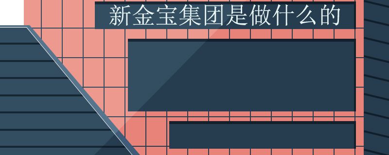 新金宝集团是做什么的