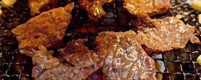 烧烤店大概利润有多少 算是餐饮行业非常高的
