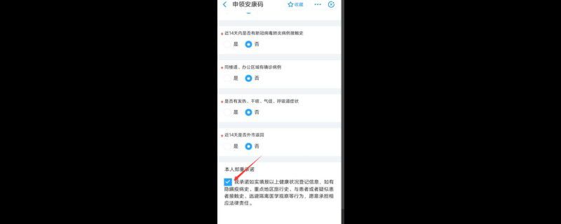 支付宝上的安康码为什么打不开