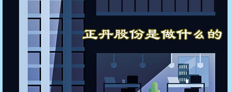 正丹股份是做什么的