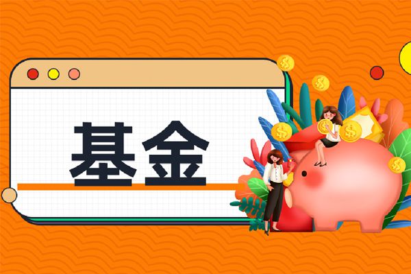 基金每个月定投多少好  可以根据自己收入决定
