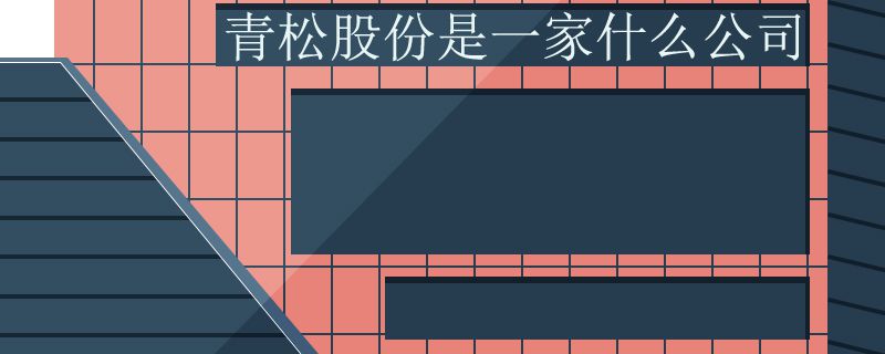 青松股份是一家什么公司