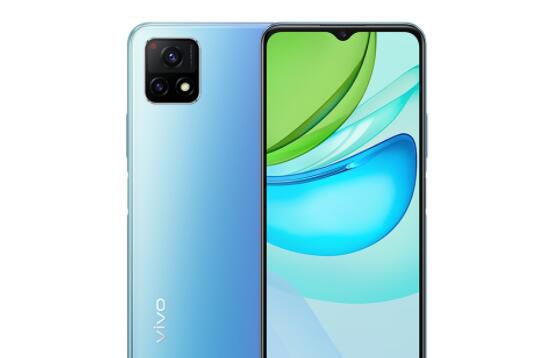 vivoy31s标准版和y31s有什么区别 参数分析就是“孪生兄弟”