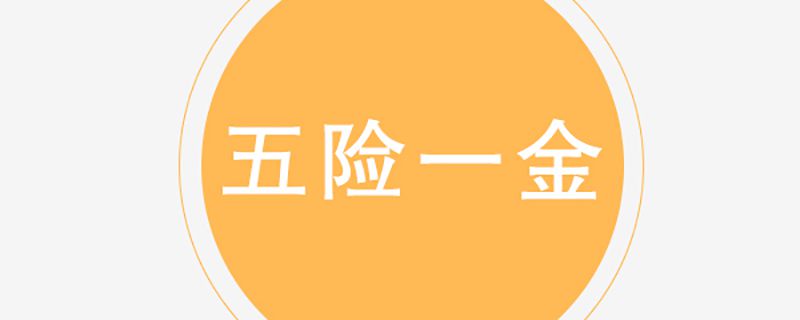 金保是什么意思