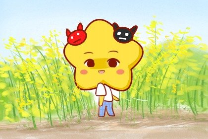 属鼠白羊座和属猪双子座配不配 