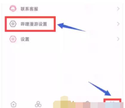 哔哩哔哩漫游怎么设置 哔哩哔哩漫游设置方法介绍