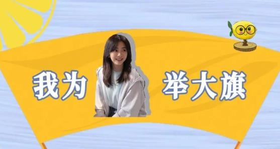 我为我姐举大旗文案怎么写 我为我姐举大旗文案台词大全