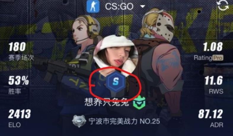 csgo完美s相当于什么水平 csgo完美s水平介绍