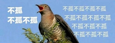 七夕布谷鸟表情包大全 微信七夕布谷鸟头像高清分享