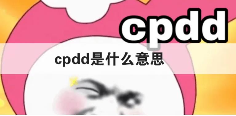 cpdd网络用语是什么意思 cpdd意思的含义解释