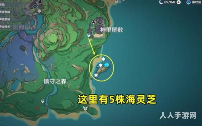 原神海灵芝在哪里采集 海灵芝采集点分布图介绍