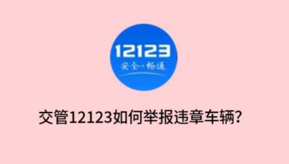 拍违章挣钱的app叫什么？有哪些app软件可以拍违章挣钱