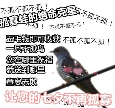 七夕布谷鸟表情包大全 微信七夕布谷鸟头像高清分享