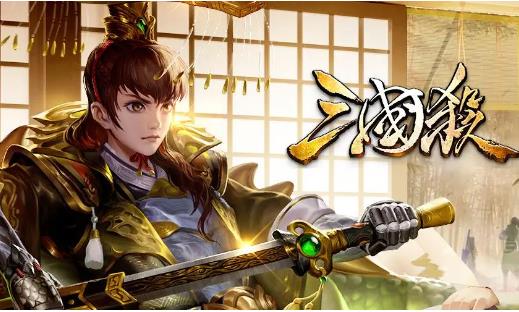 三国杀横置是什么意思 三国杀游戏横置意思说明介绍