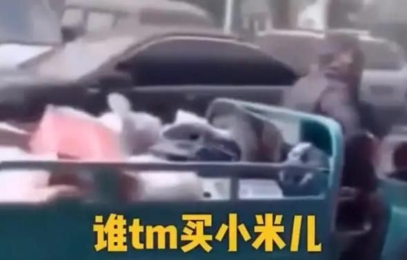 谁他妈买小米什么梗 抖音谁tm买小米梗意思