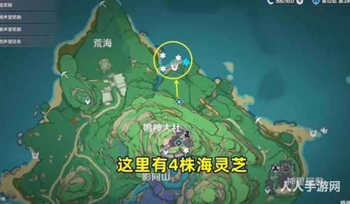 原神海灵芝在哪里采集 海灵芝采集点分布图介绍