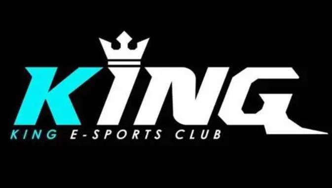 king战队成员都有谁 king战队成员介绍