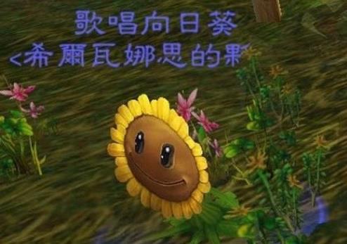 魔兽世界向日葵宝宝怎么获得 魔兽世界向日葵宝宝任务攻略