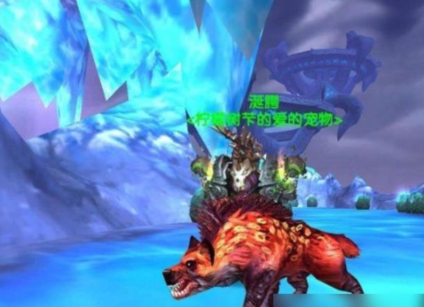 魔兽世界猎人稀有宠物数量有多少？魔兽世界猎人稀有宠物大全