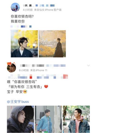 你喜欢银杏吗是什么梗 你喜欢银杏吗梗意思介绍