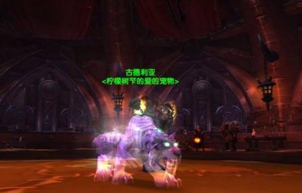 魔兽世界中猎人的稀有宠物有多少种 wow猎人稀有宝宝排行图鉴