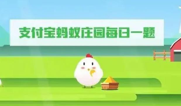 下列关于海葵的说法正确的是 海葵的正确说法答案解析
