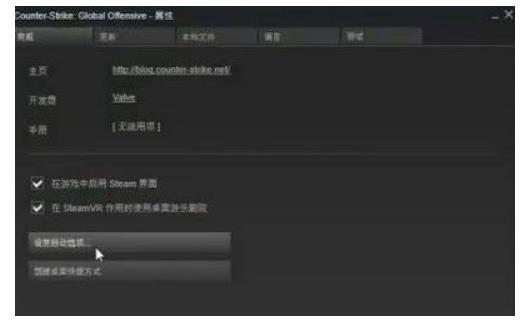 Win10玩CSGO游戏帧数不稳定怎么解决？帧数不稳定卡顿解决方法
